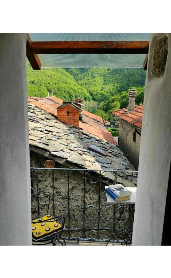 Casa Vacanze Al Colletto - Con Terrazza Panoramica In Centro Storico Vagli di Sotto Eksteriør bilde